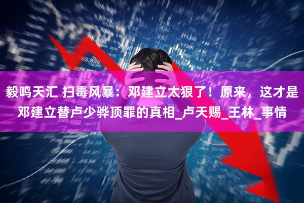 毅鸣天汇 扫毒风暴：邓建立太狠了！原来，这才是邓建立替卢少骅顶罪的真相_卢天赐_王林_事情