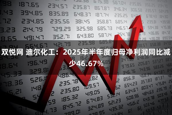 双悦网 迪尔化工：2025年半年度归母净利润同比减少46.67%